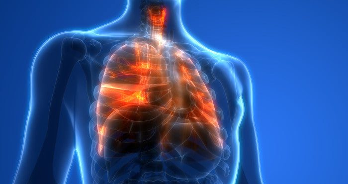 Vitamin E Acetate’s Link to THC Vaporizers