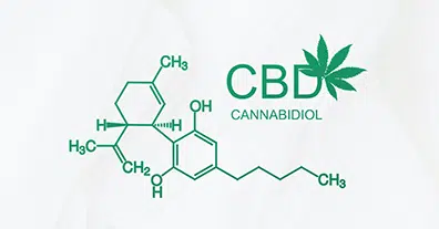 CBD vs THC vs Hemp Oil: What’s the Difference? – Buy CBD Oil India | Licensed Under Ministry of Ayush