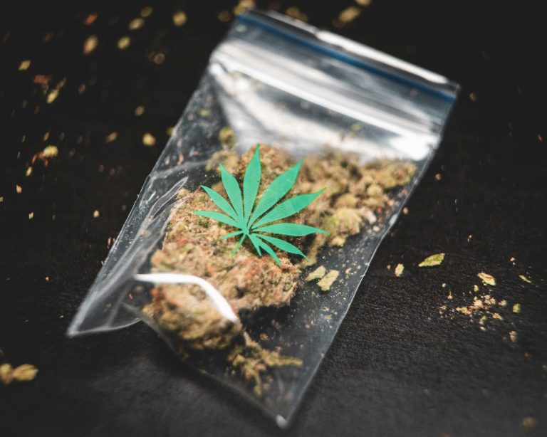 The Cannabis Industry Forgot Who Built It