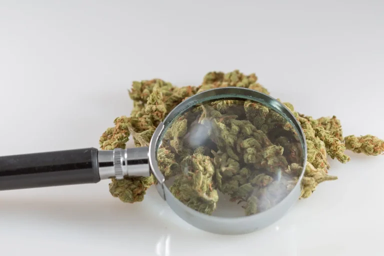 DEA Begins On-Site Inspections At Marijuana Businesses That Applied For Federal Protections Under Trump’s Rescheduling Move