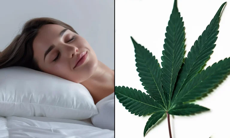 2 In 3 Americans Who Use Marijuana Say It Helps Them Sleep Better, New Survey Shows